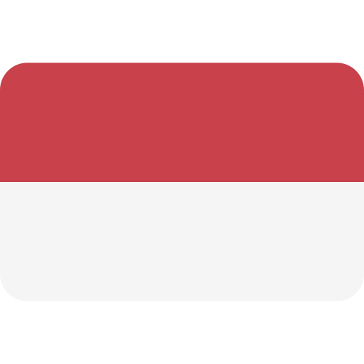 Vietnam Flag